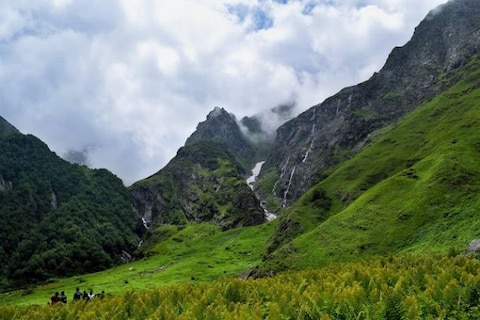 Valley of Flowers, Uttarakhand